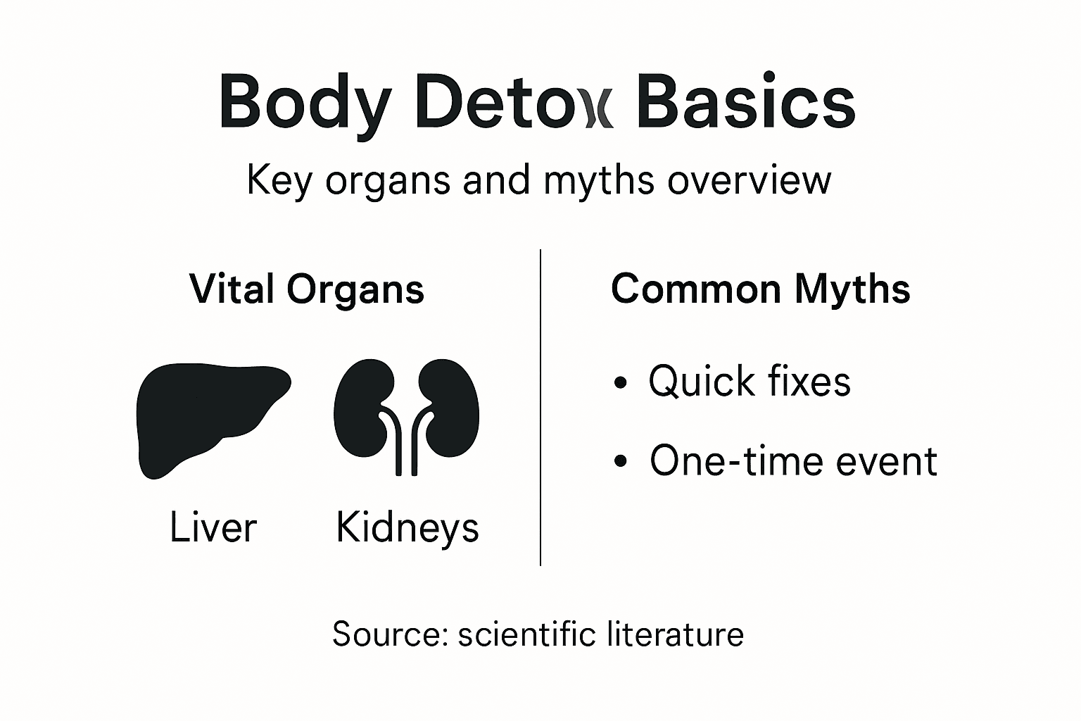 Infographic showing body detox organs and myths
