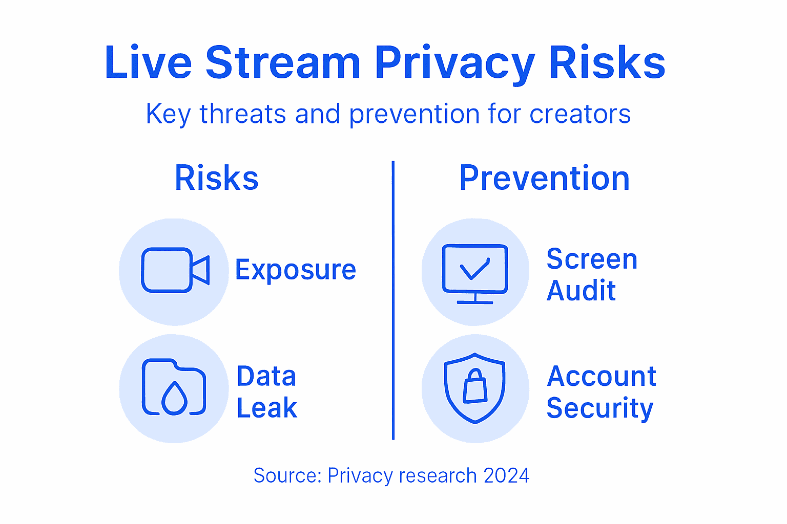 Infographic of privacy risks and solutions