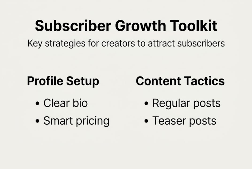 Infographic summarizing subscriber growth strategies