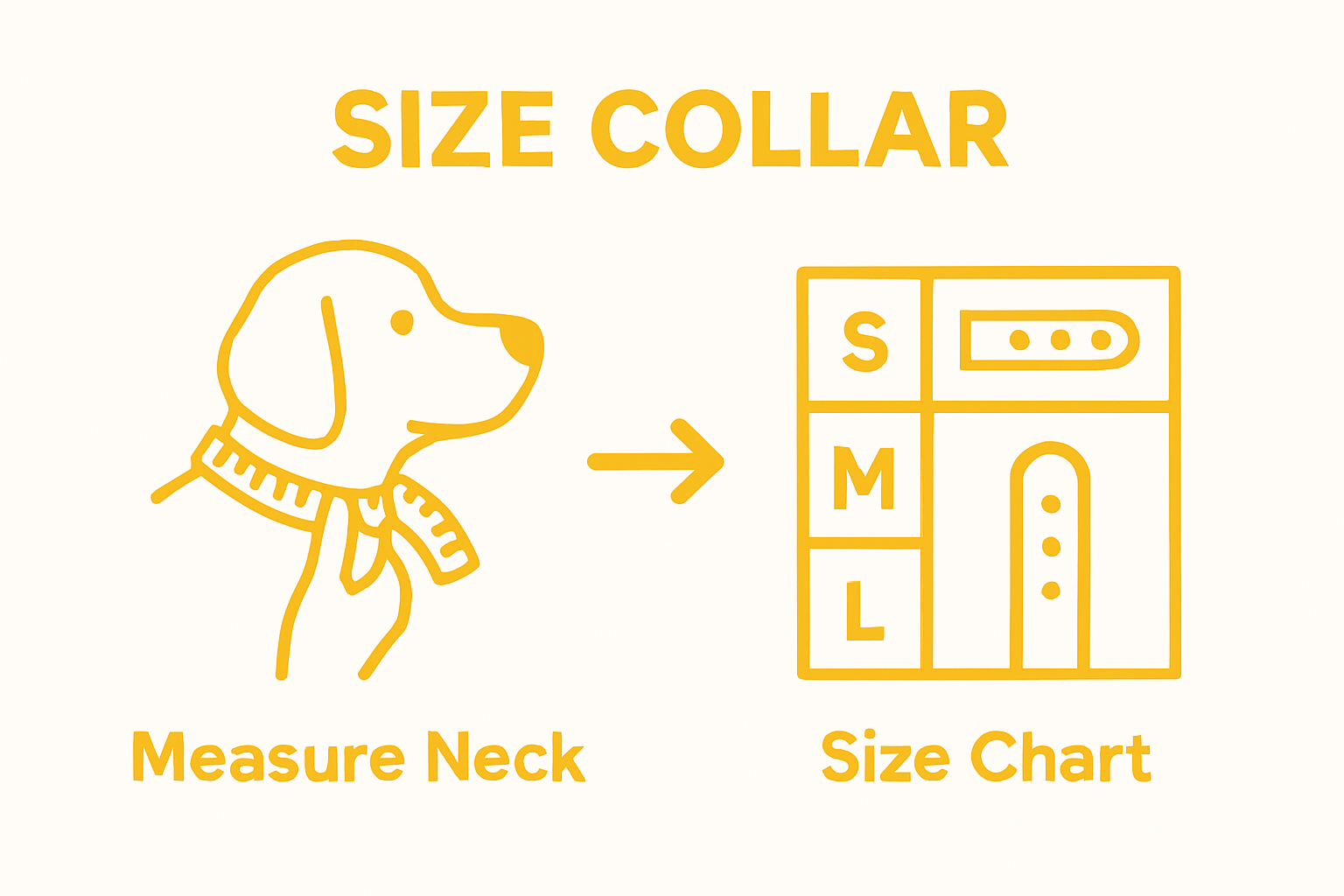 Simple infographic of measuring a dog's neck and selecting a collar size