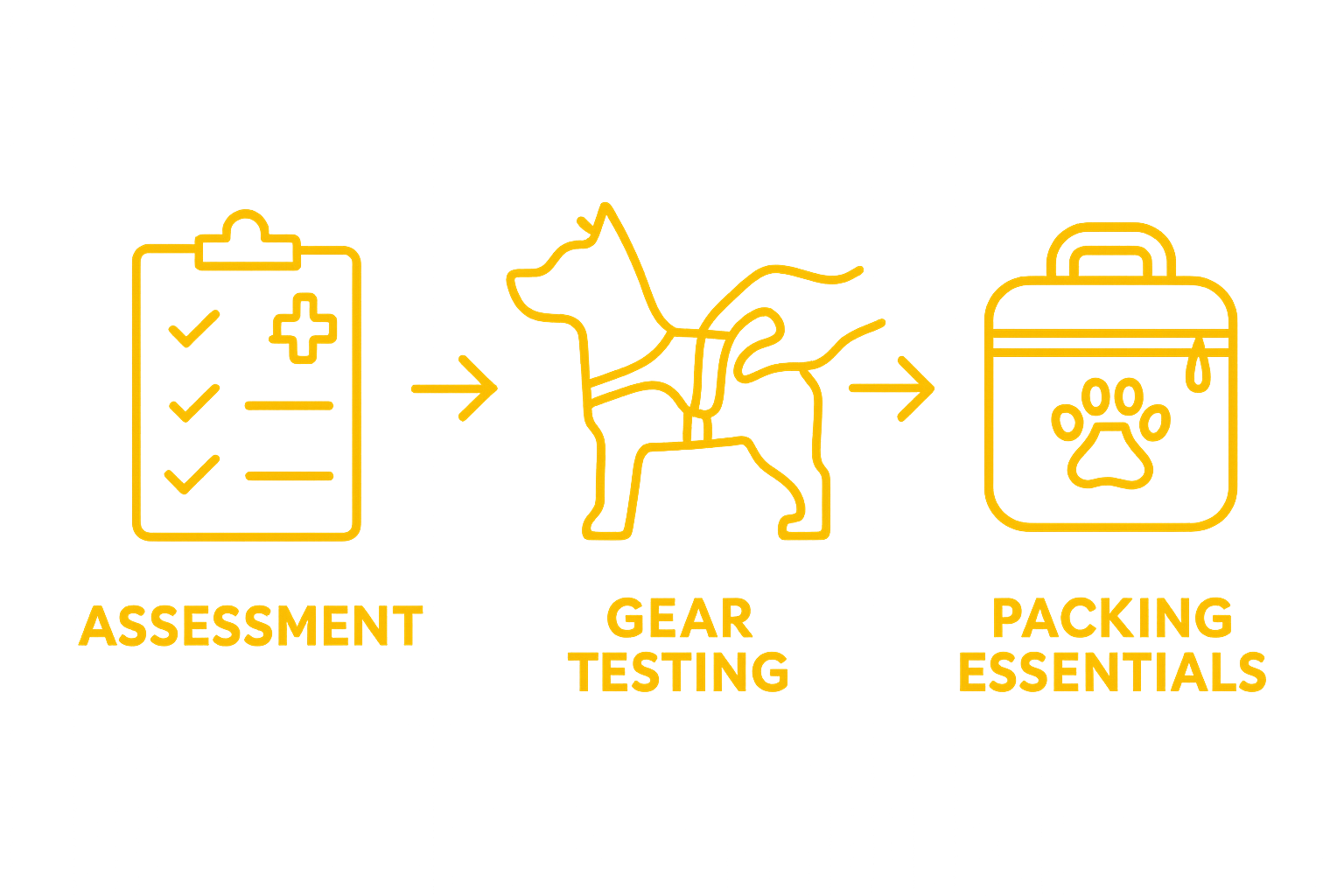 Infographic of dog travel preparation: assessment, testing, and packing
