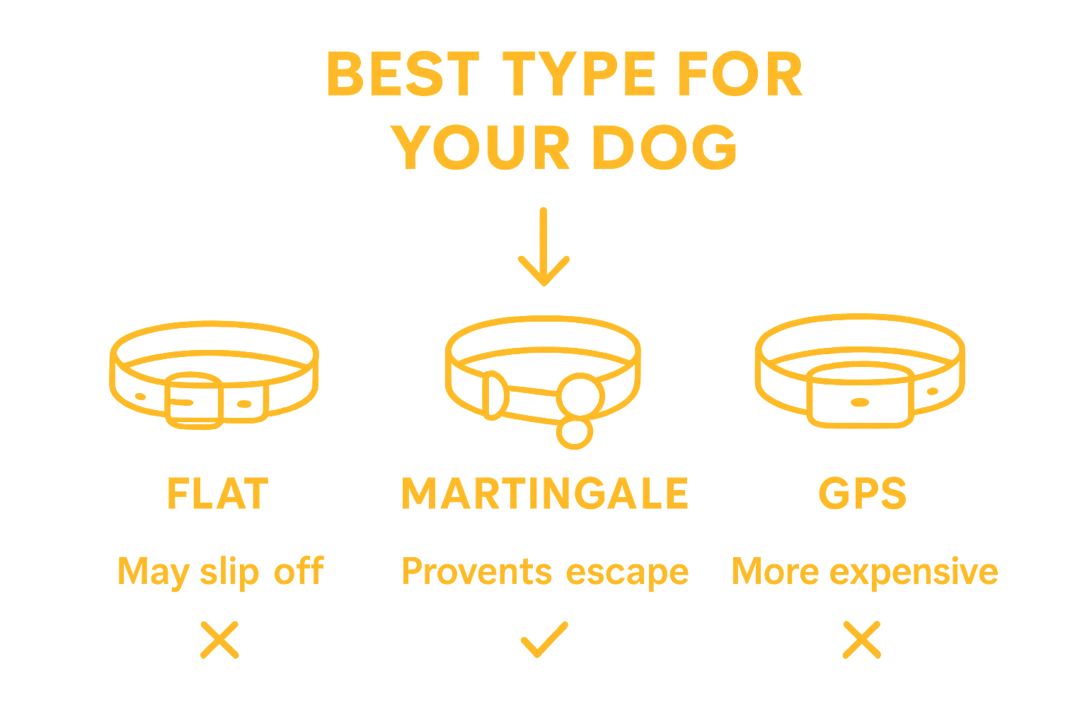 Simple infographic comparing flat, martingale, and GPS dog collars