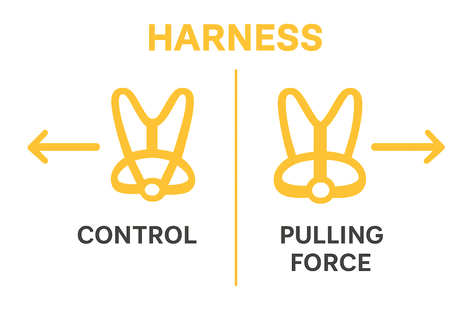 Front-clip versus back-clip harness simple visual comparison