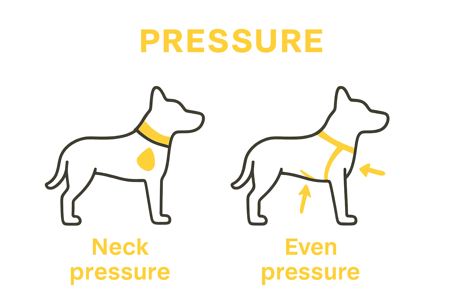 Infographic comparing collar and harness pressure points