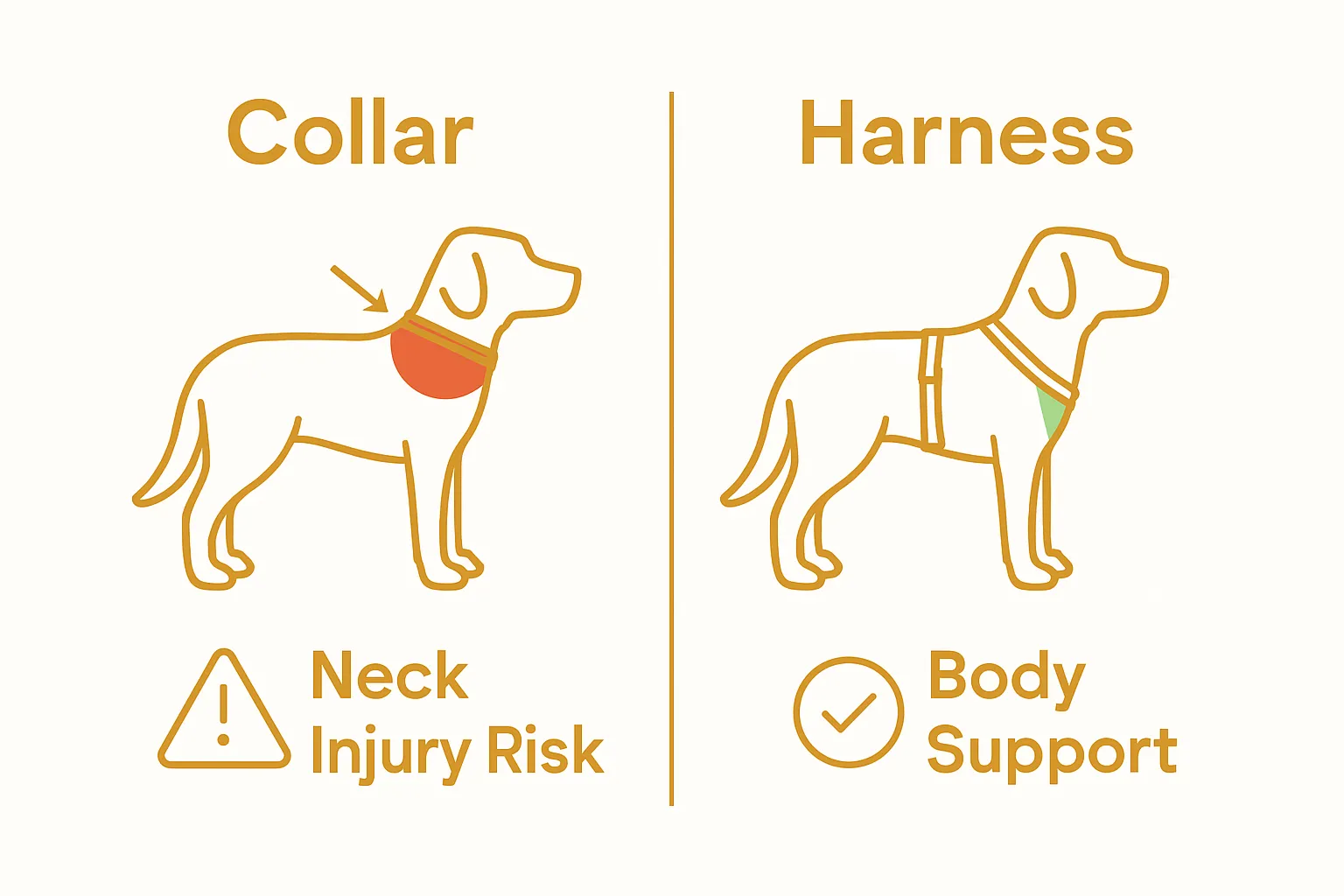 Comparison visual showing collar versus harness pressure