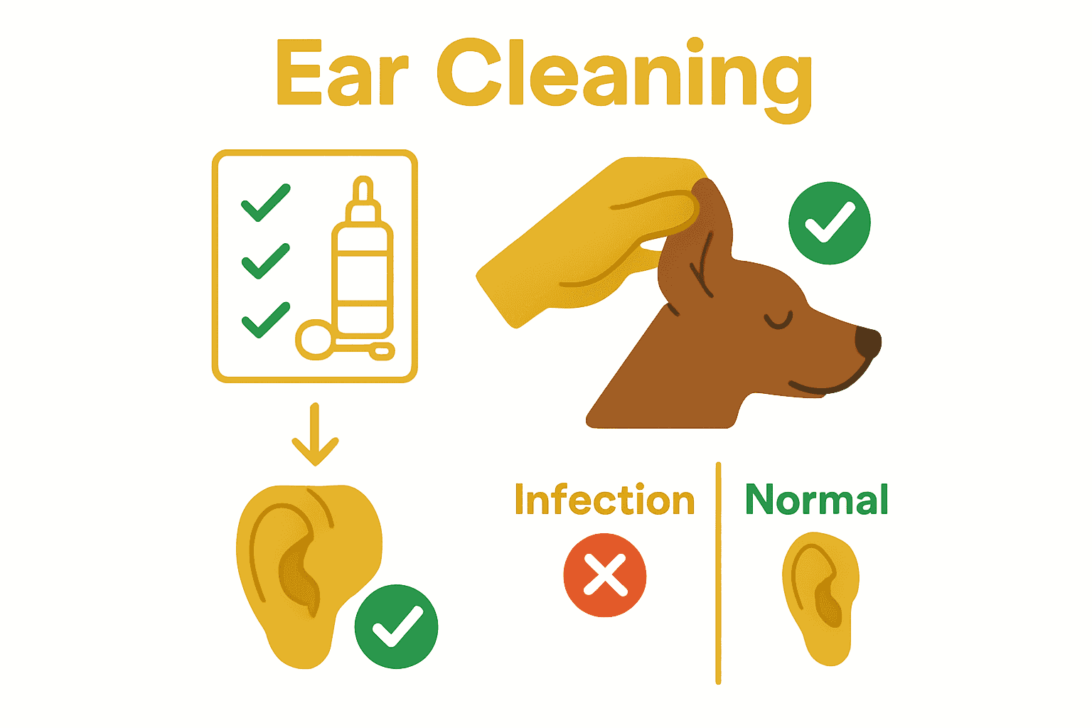 Infographic visualizing supplies, technique, and infection signs for dog ear cleaning.