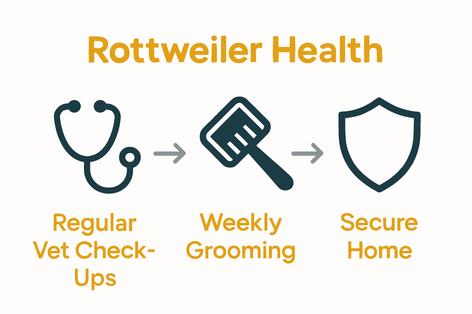 Infographic showing Rottweiler care: vet visits, grooming, safety.