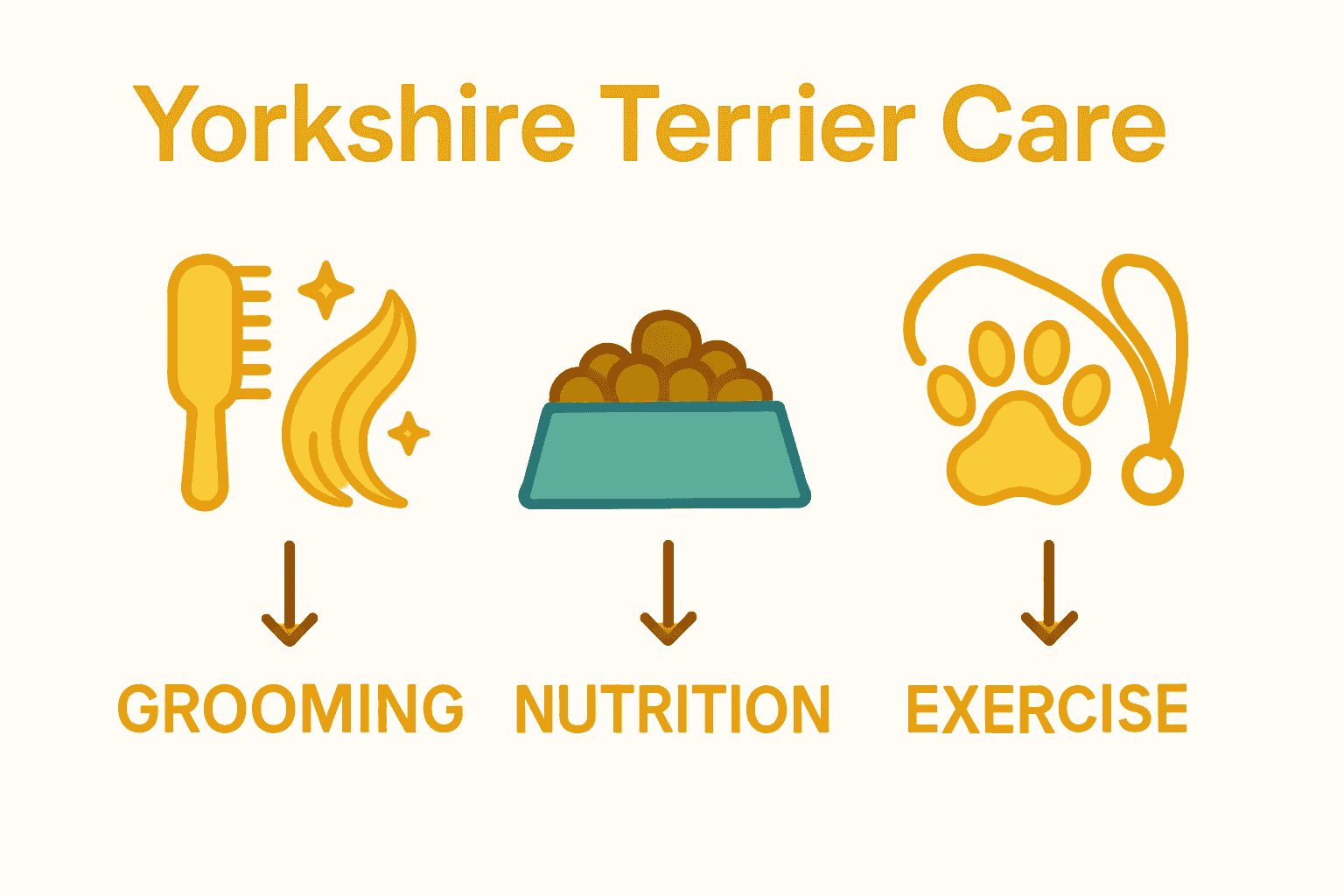 Infographic comparing grooming, diet, and exercise needs for Yorkshire Terriers.