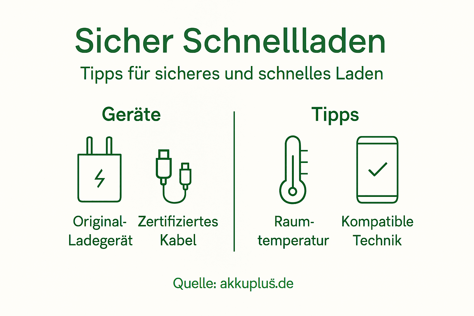 Infografik: Sicheres Schnellladen – praktische Tipps und empfehlenswerte Geräte