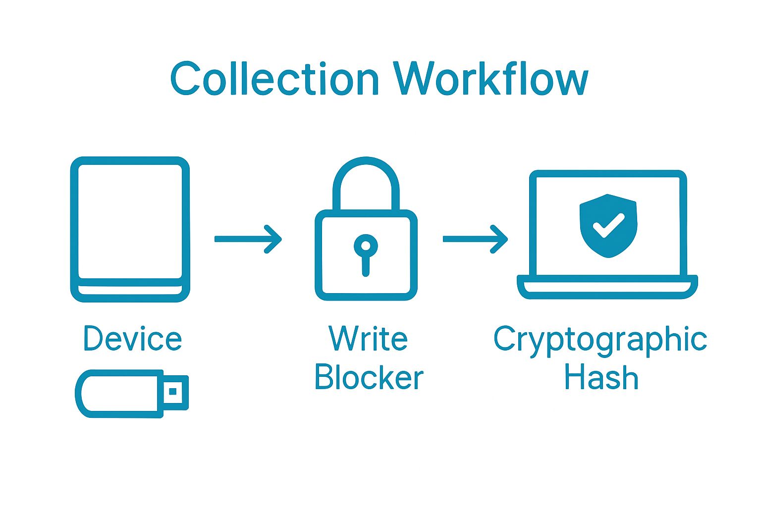 Infographic of secure evidence collection workflow