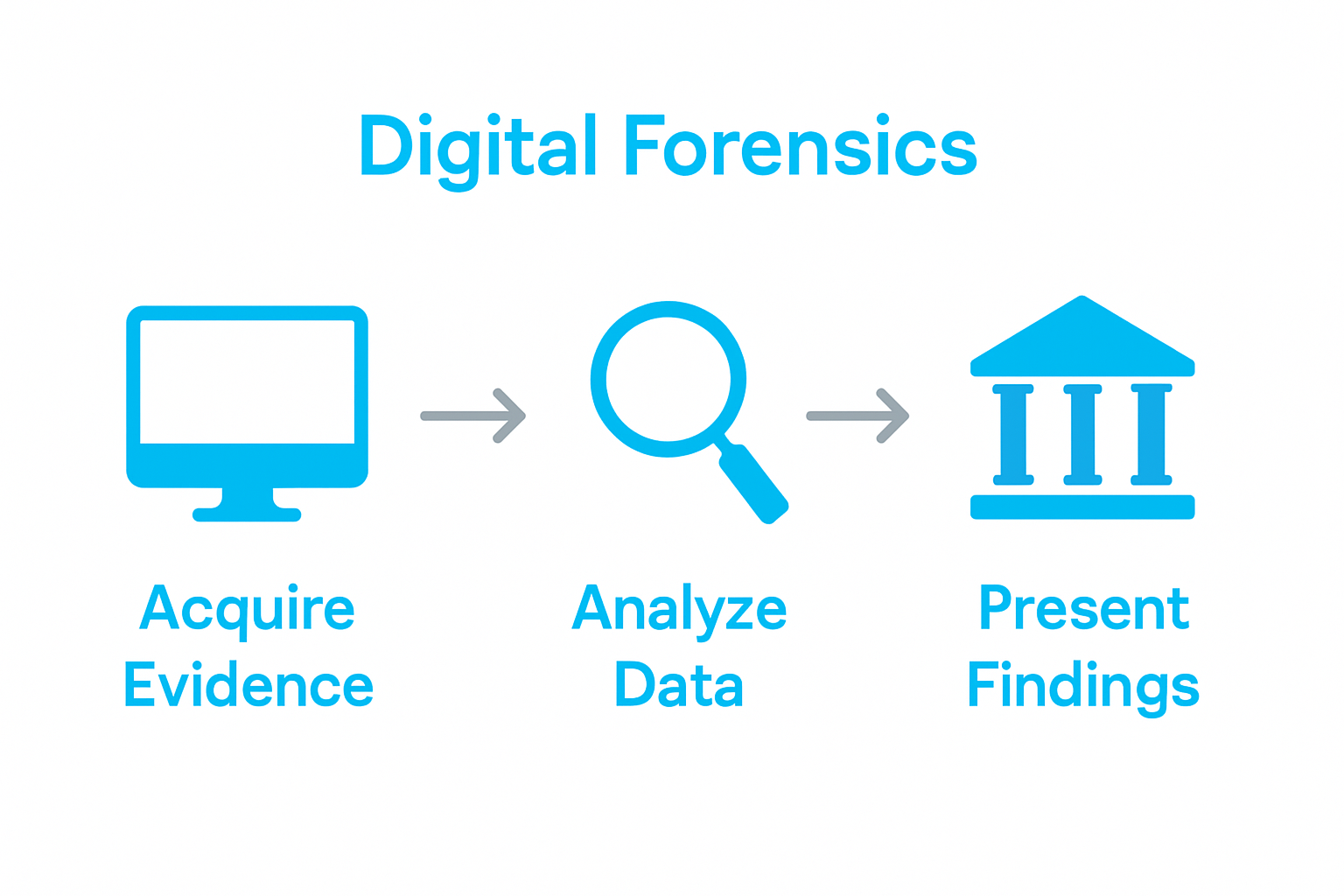 Infographic showing digital evidence investigation steps