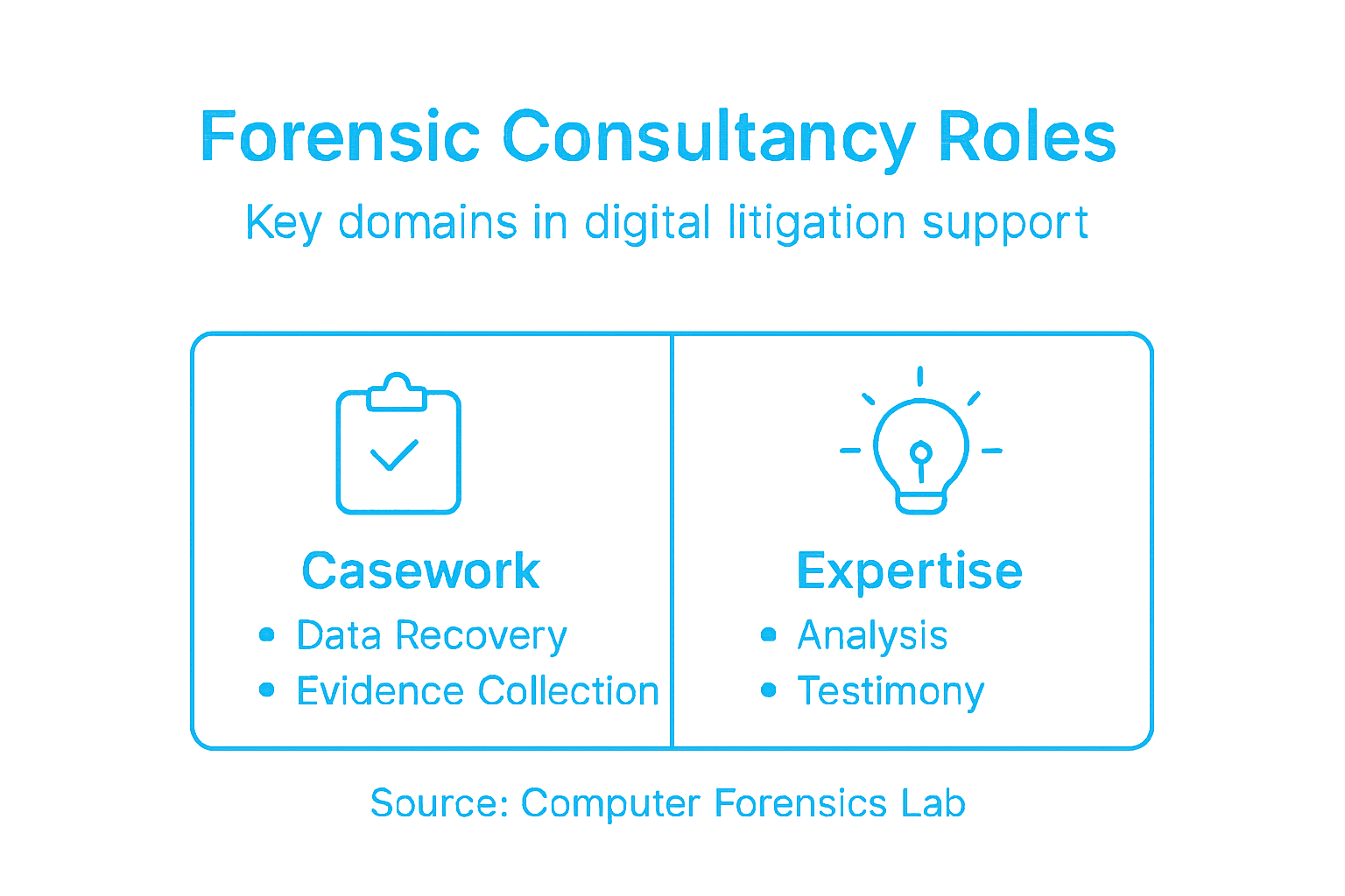 Role of Forensic Consultancy in Digital Litigation 1 Infographic showing forensic consultancy roles and services