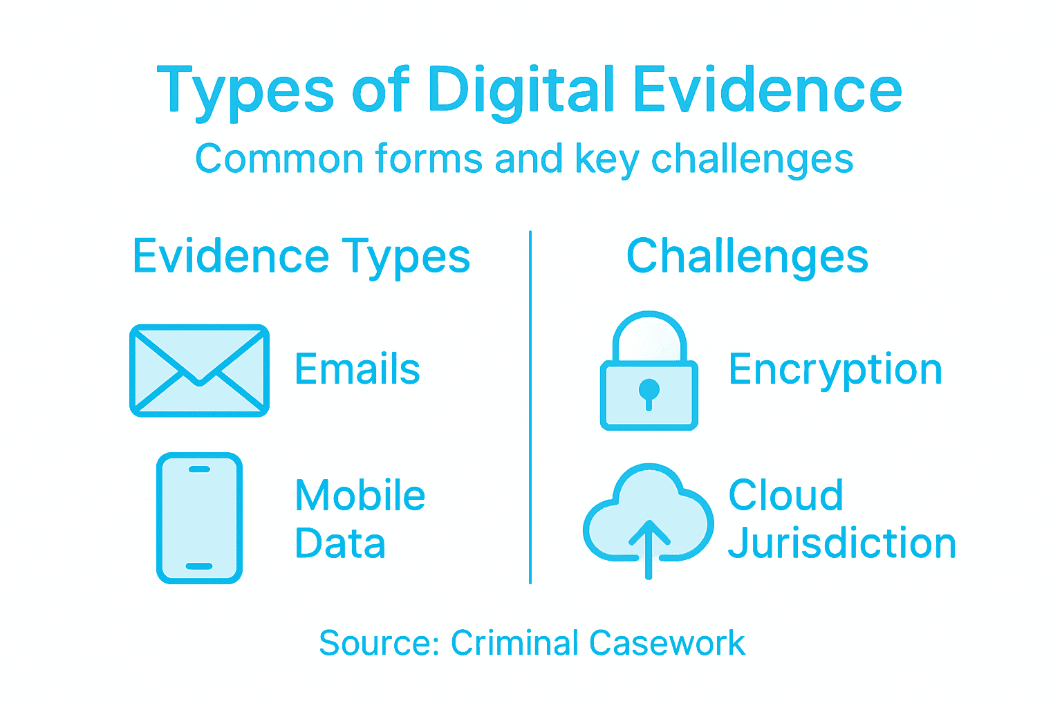 Why Verify Digital Evidence: Safeguarding Legal Integrity 2 Infographic showing digital evidence types and challenges