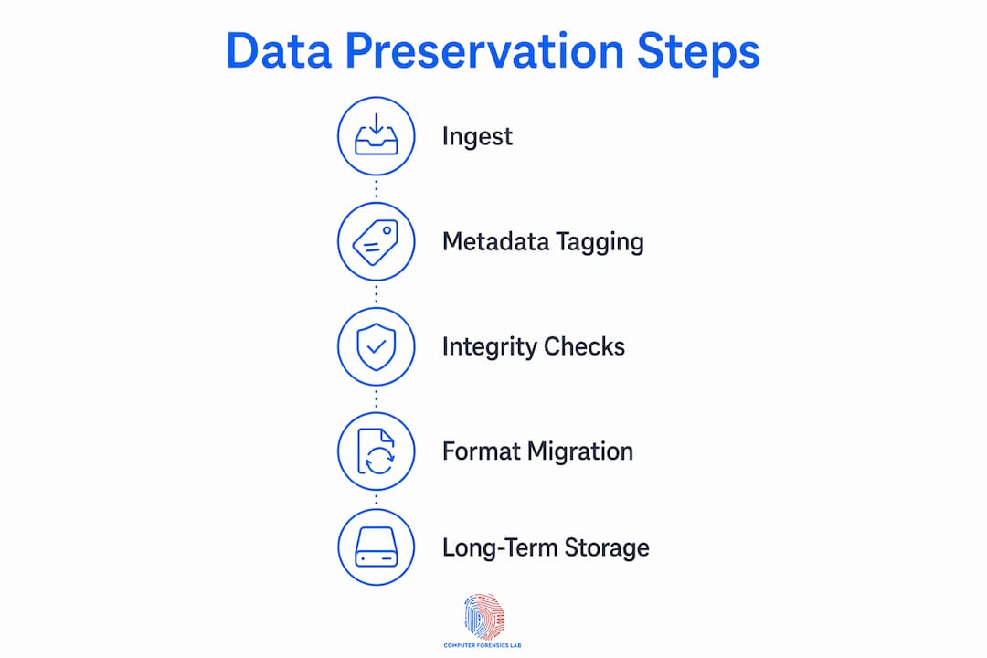 What is data preservation? A guide for 2026 2 Infographic showing data preservation key processes steps