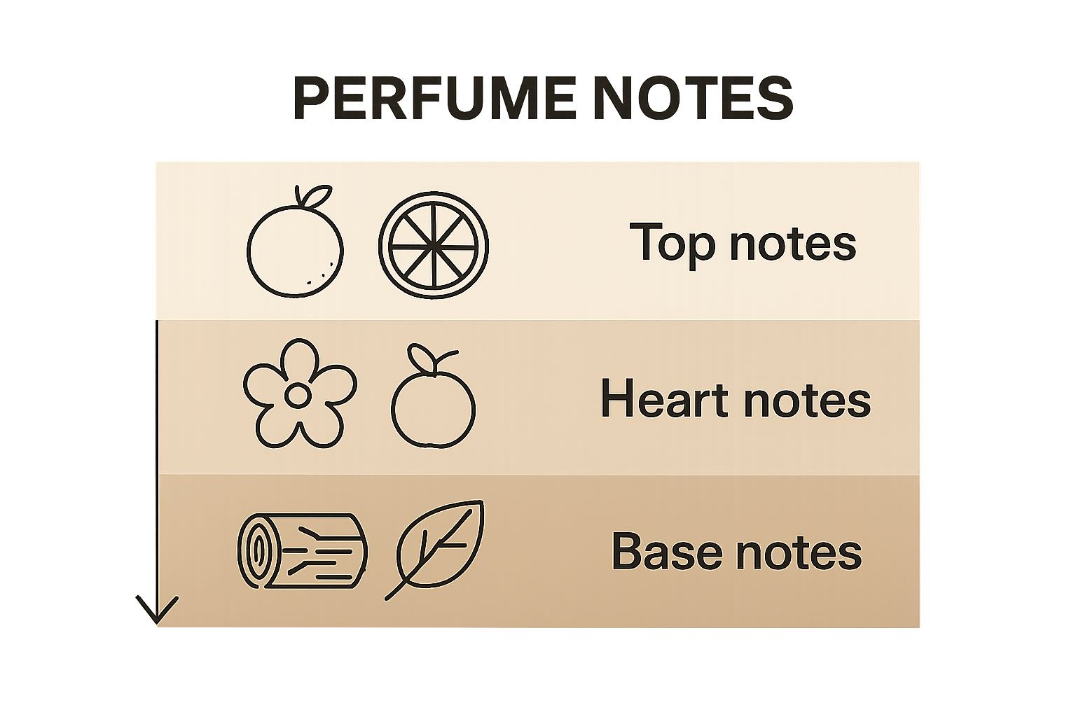 Three-tiered perfume note layer illustration