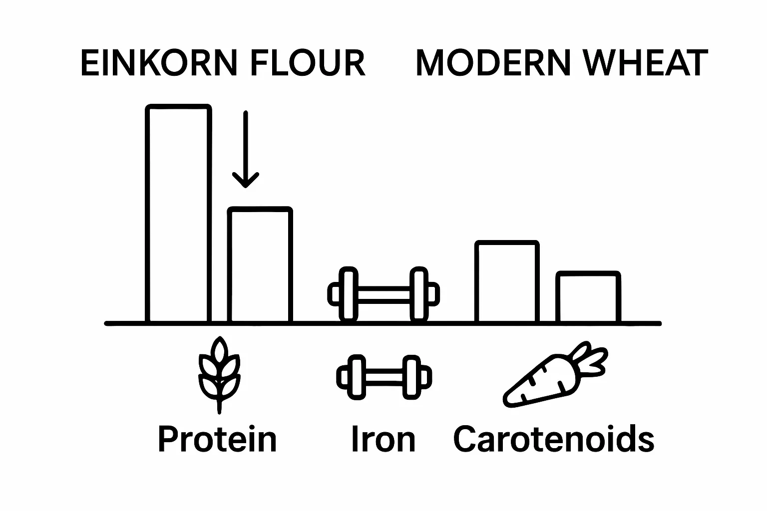 Comparison of einkorn and modern wheat: protein, iron, carotenoids