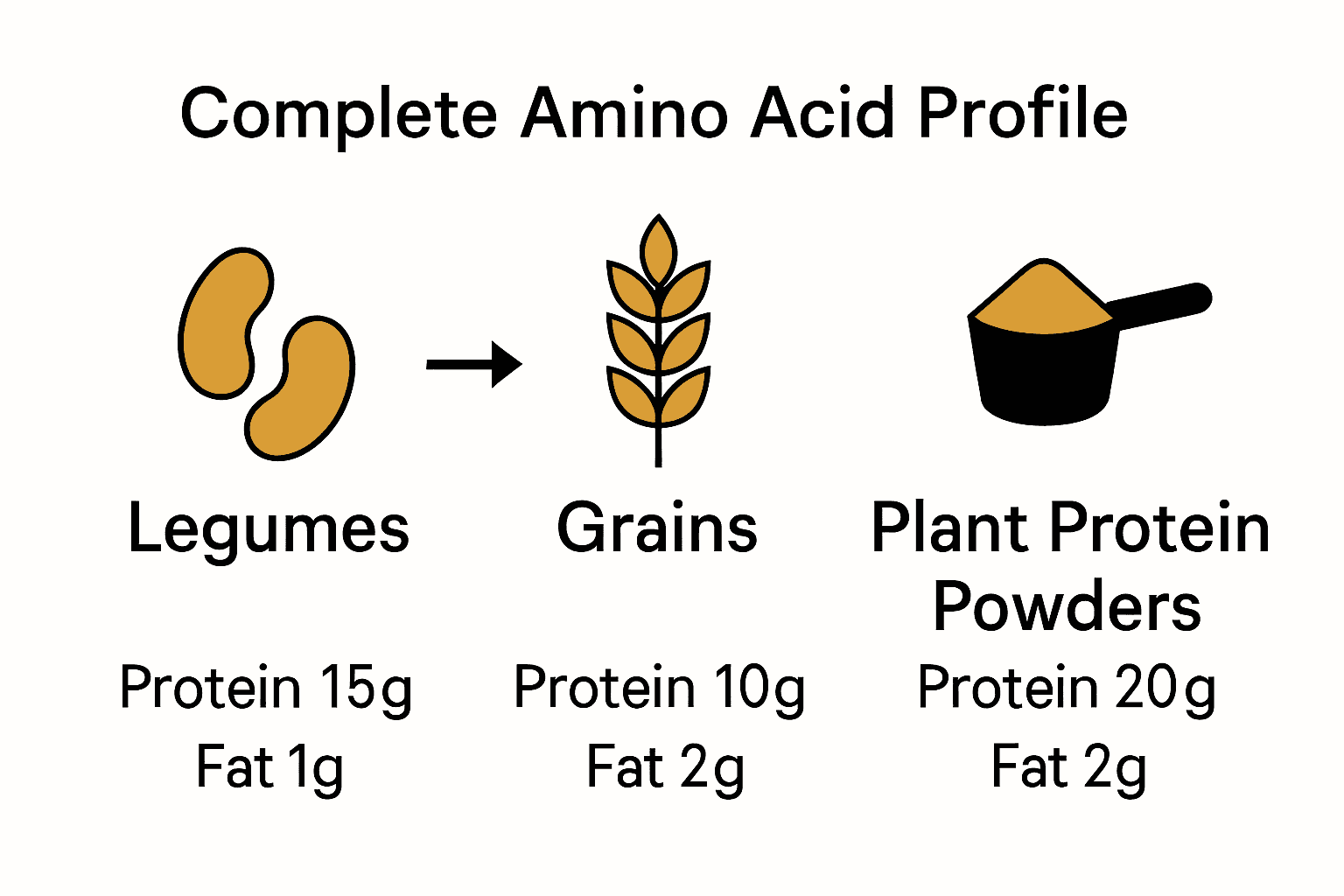 Infographic comparing protein and fat content of legumes, grains, and plant powders, with icons and arrows showing amino acid combinations.