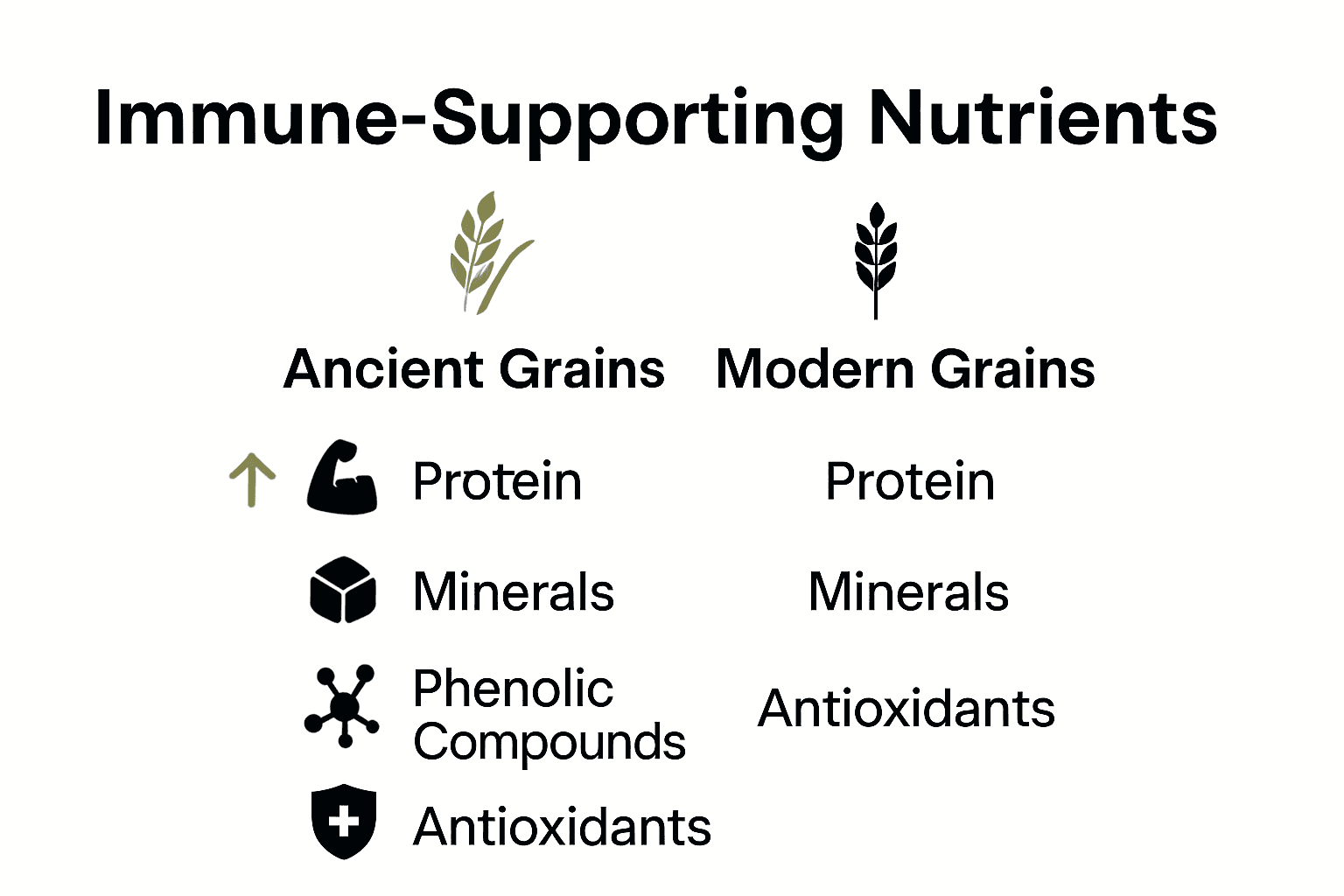 Infographic comparing immune-supporting nutrients in ancient versus modern grains