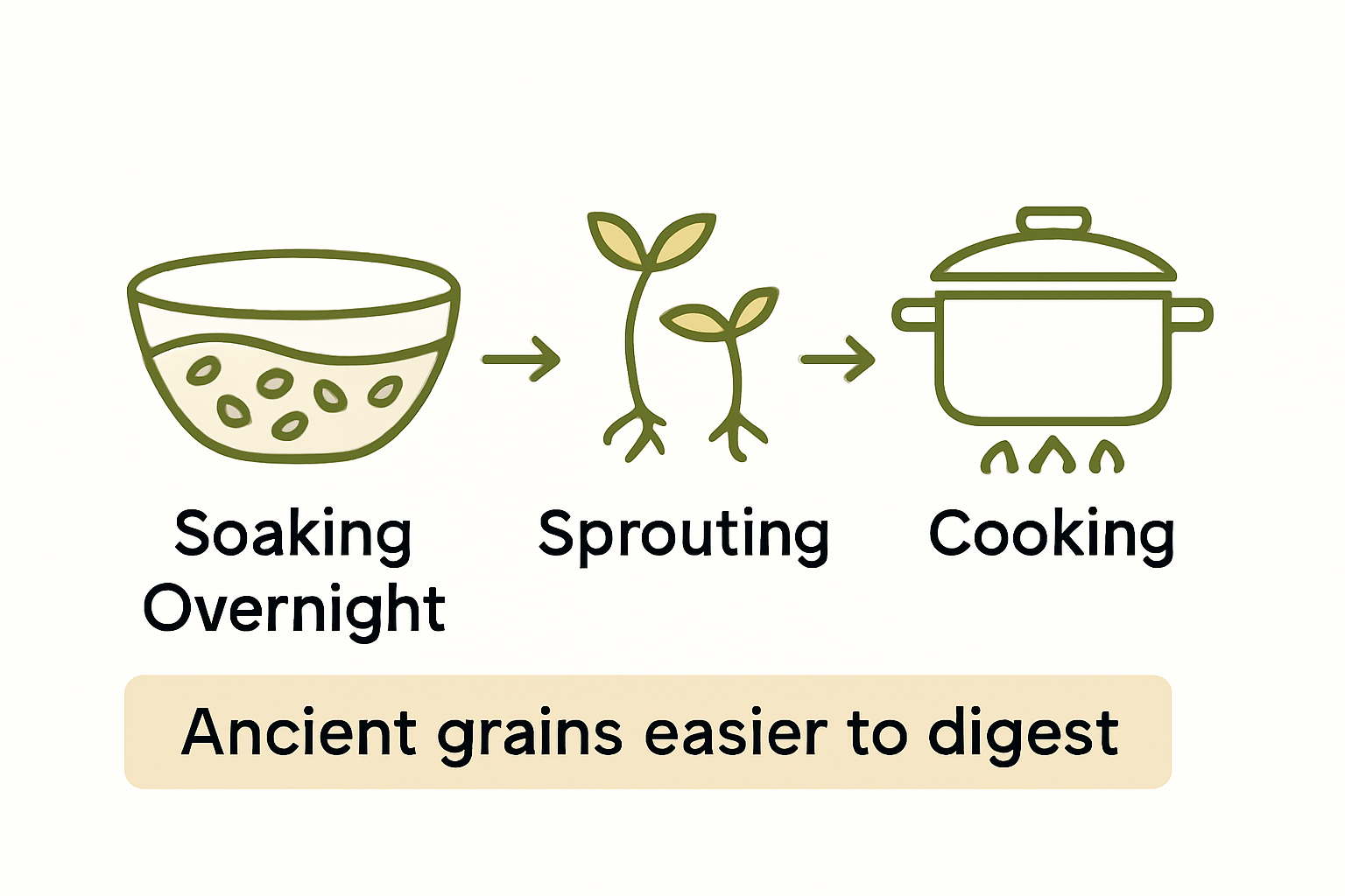 Infographic steps for making grains digestible