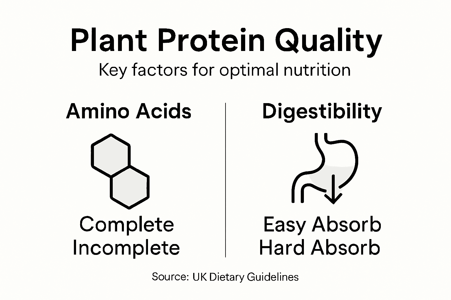 Infographic showing plant protein key quality factors