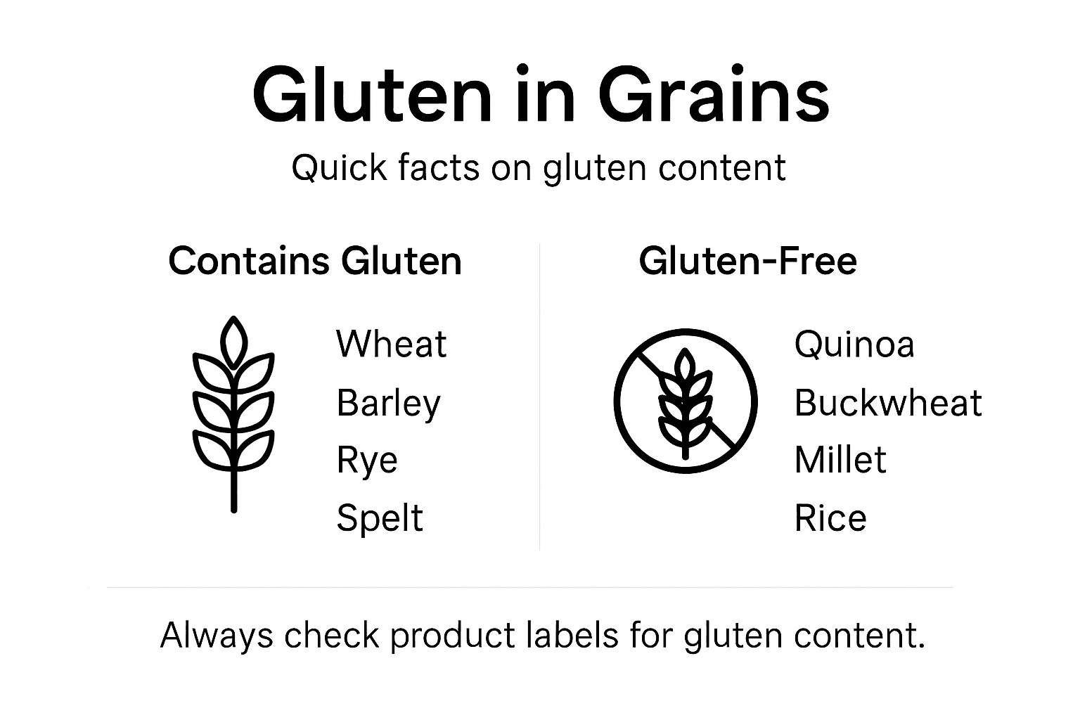Infographic showing major gluten and gluten-free grains