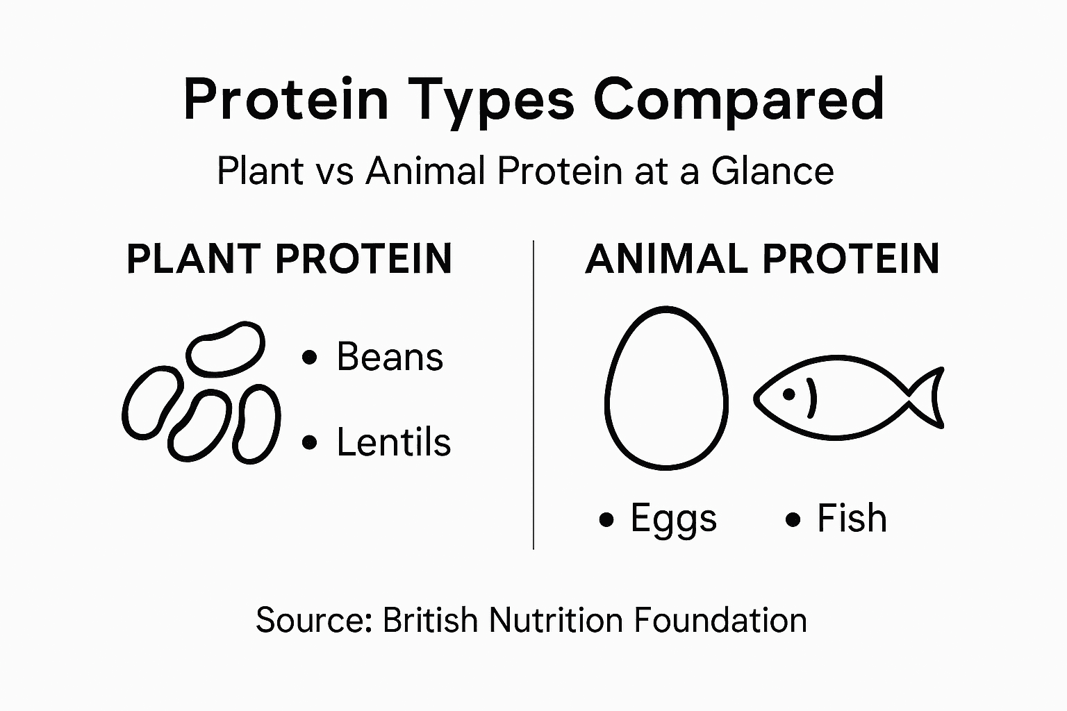 Infographic comparing plant and animal proteins