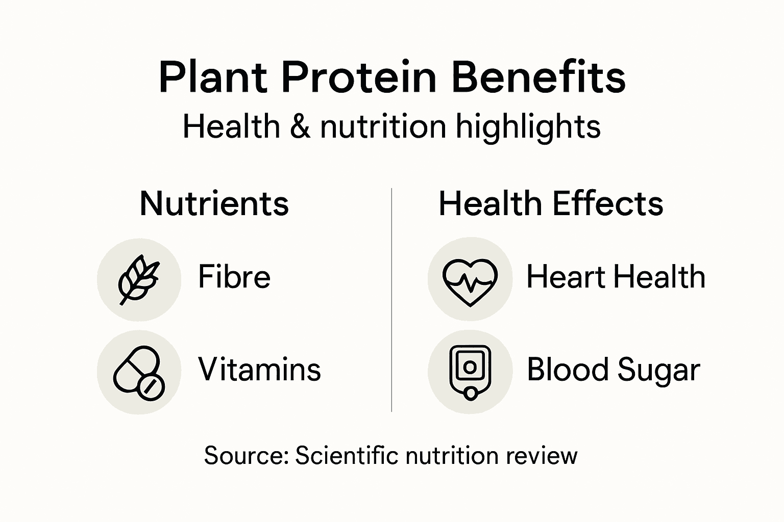 Infographic showing plant protein main nutrition and health