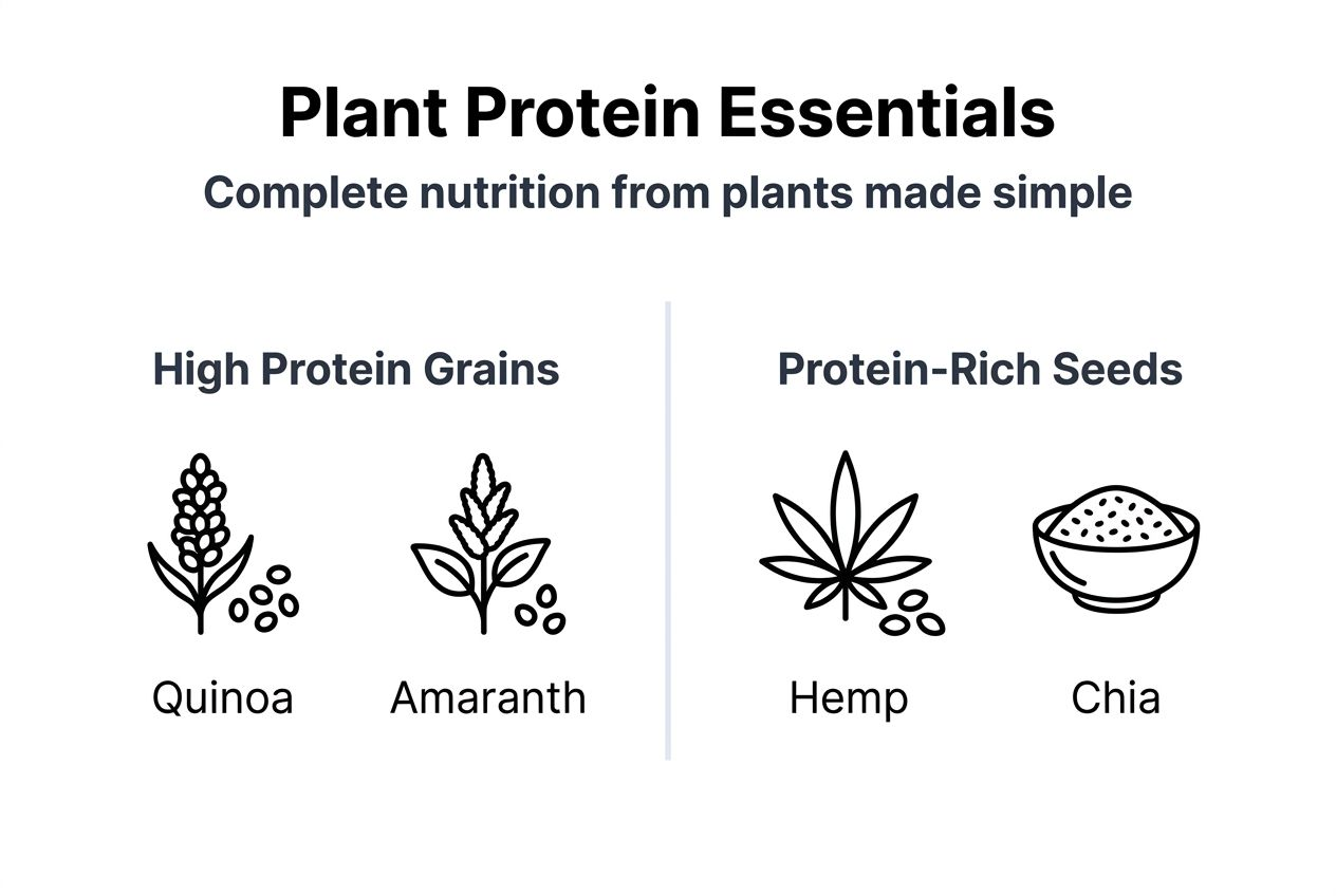 Infographic comparing grains and seeds for plant protein
