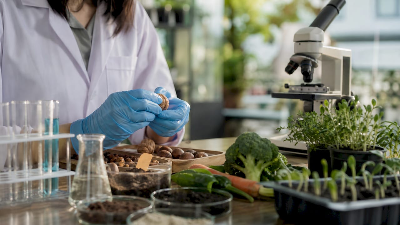 Scientist analyzing wholefoods in lab