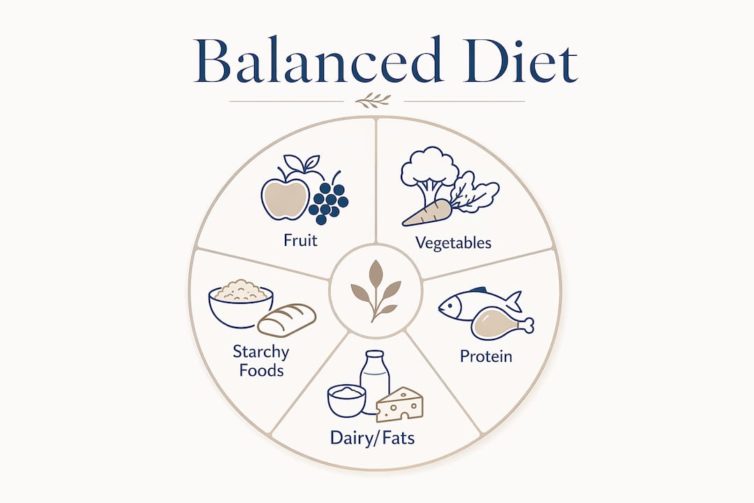 Hierarchy infographic of balanced diet food groups