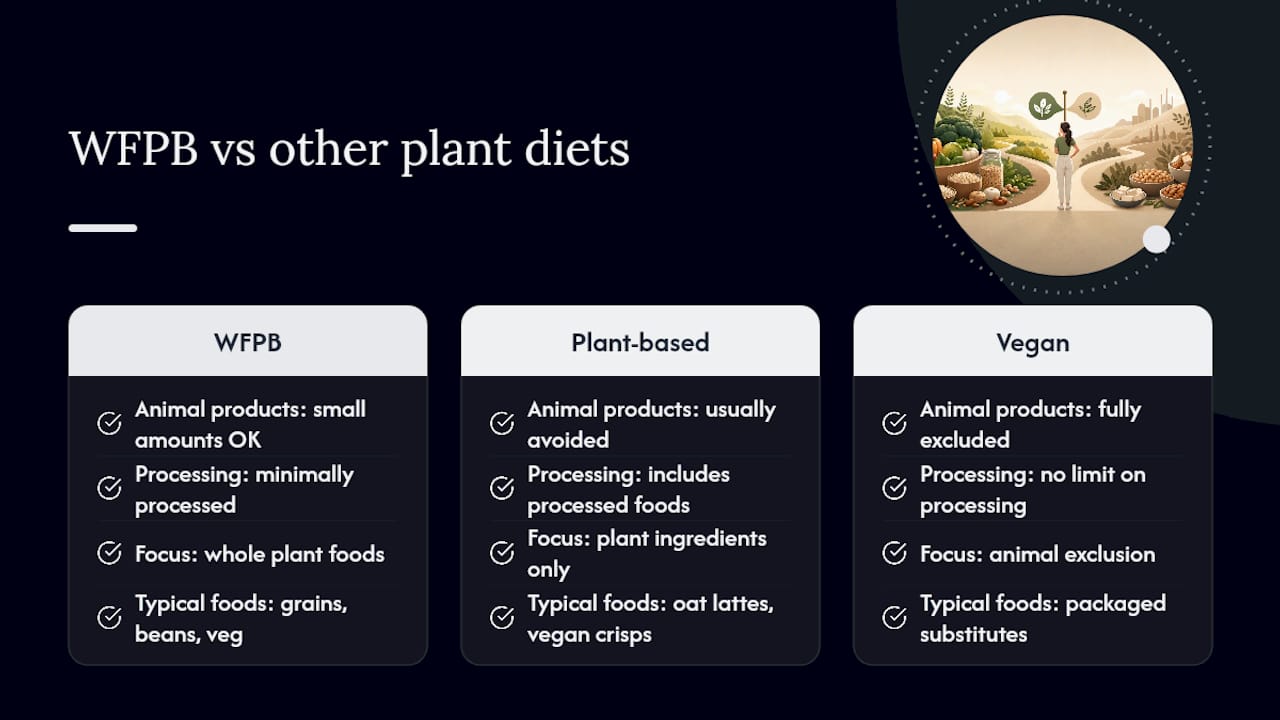 What is a plant based whole food diet, and how does it differ from "plant-based" generally? — overview diagram