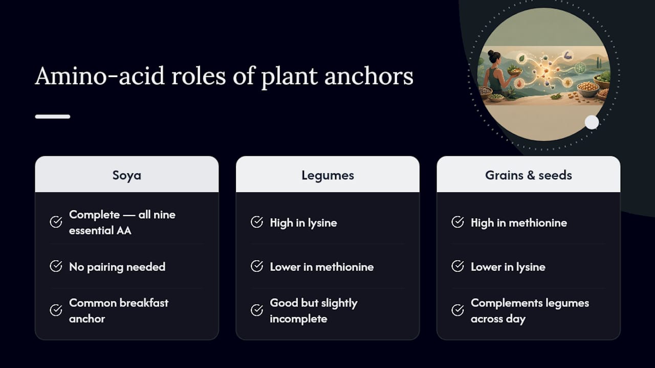 Plant foods and complementary amino acid profiles