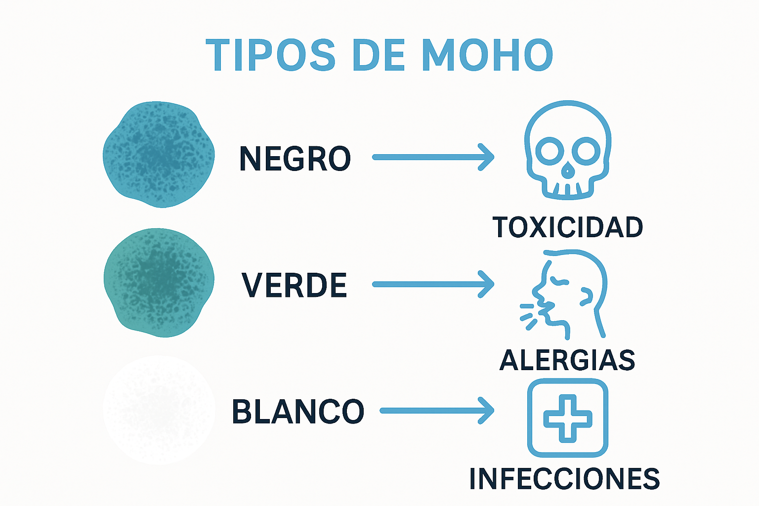 Infographic comparing main types of mold and health risks
