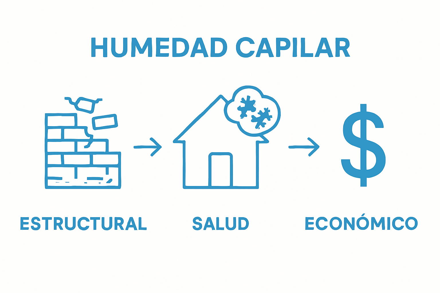 Visual summary of structural, health, and financial risks from rising damp