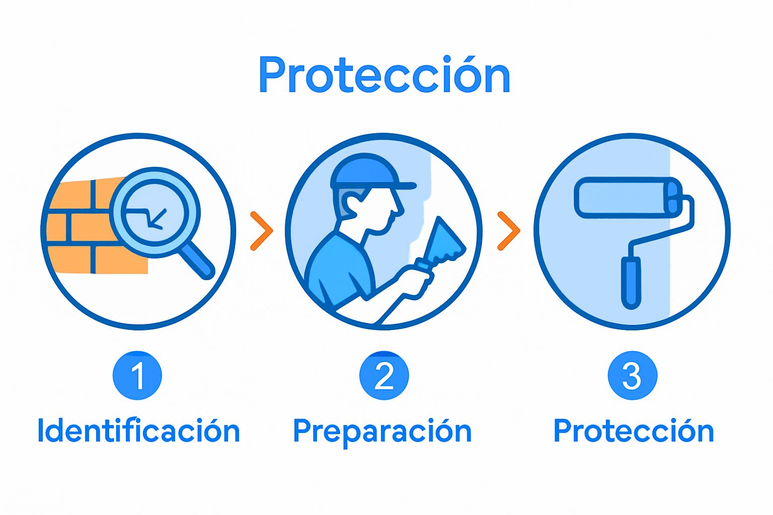 Infographic of 3-step wall damp repair process: inspect, remove, protect.