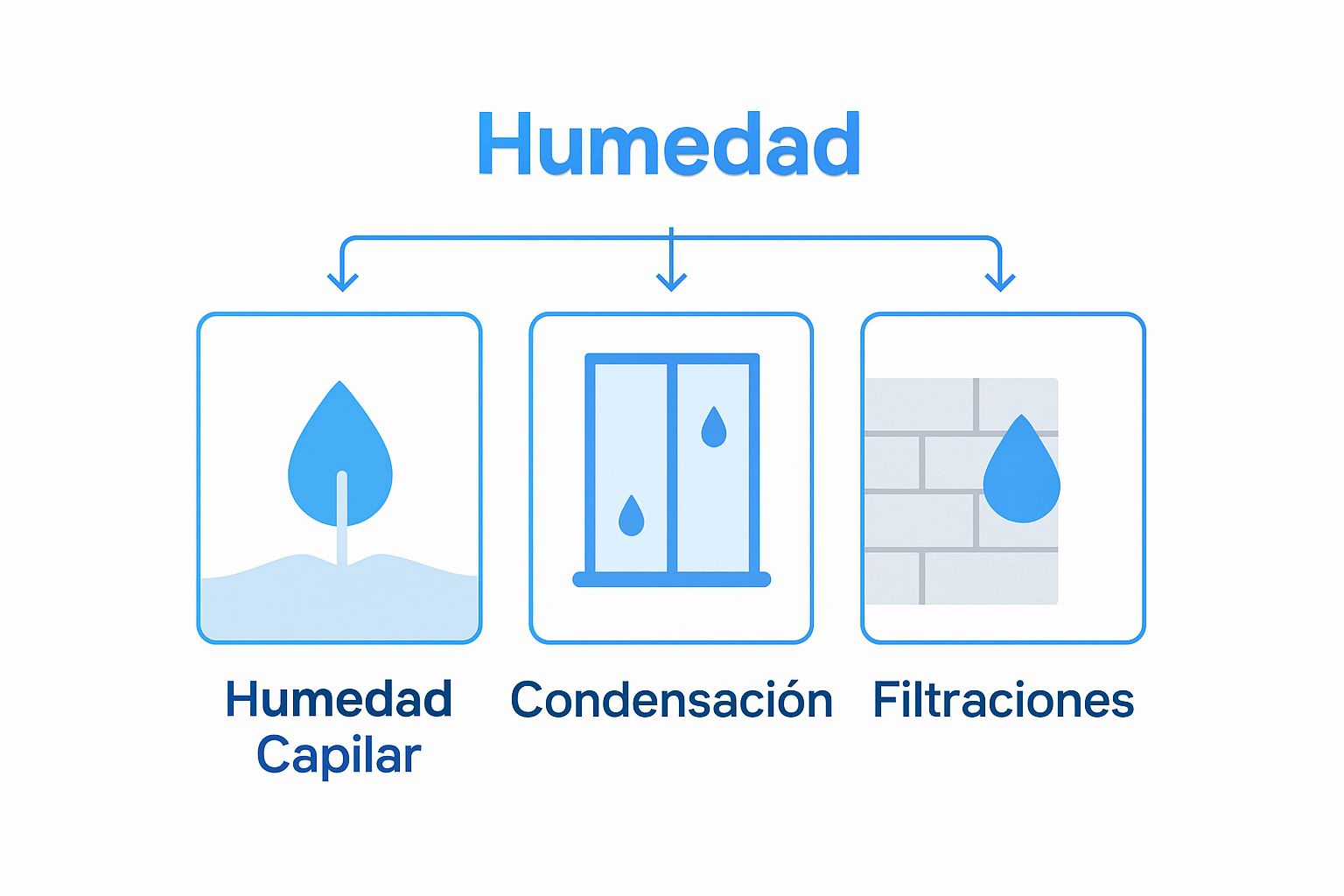 Clasificación visual de los tipos de tratamientos antihumedad