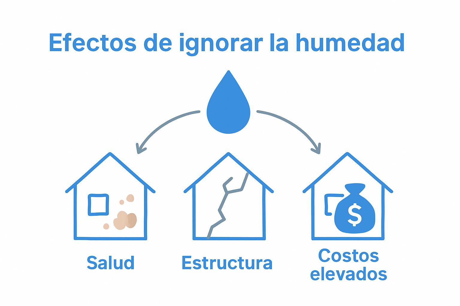 Infografía de consecuencias de humedades: salud, estructura y economía
