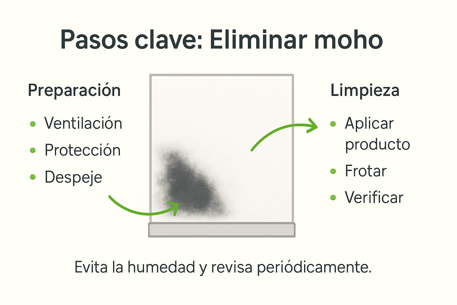 Guía visual para eliminar el moho de las paredes paso a paso