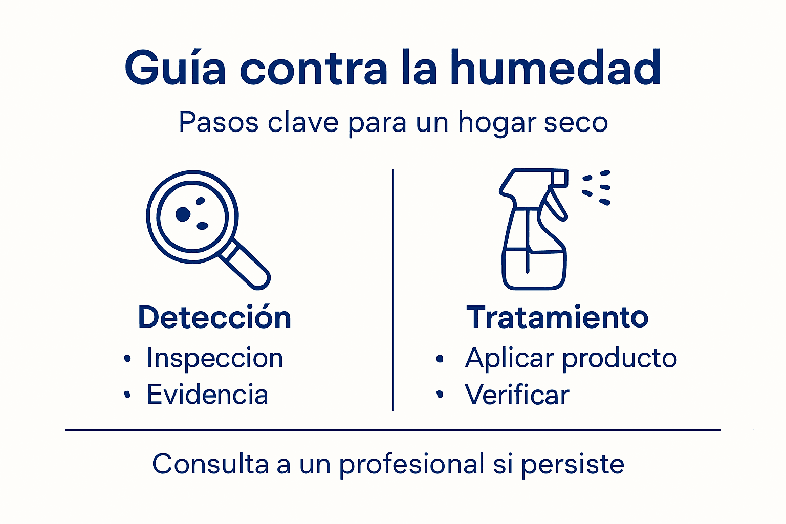 Infografía práctica: pasos esenciales para eliminar la humedad en casa
