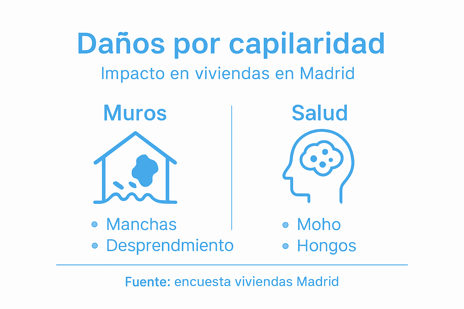 Infografía sobre problemas causados por la humedad por capilaridad en el hogar