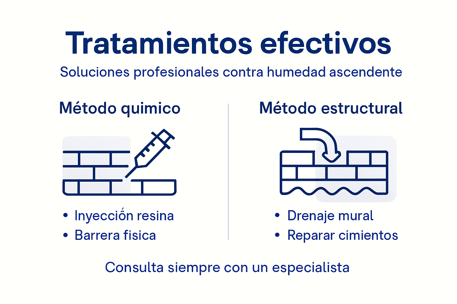 Infografía: Soluciones profesionales para combatir la humedad por capilaridad