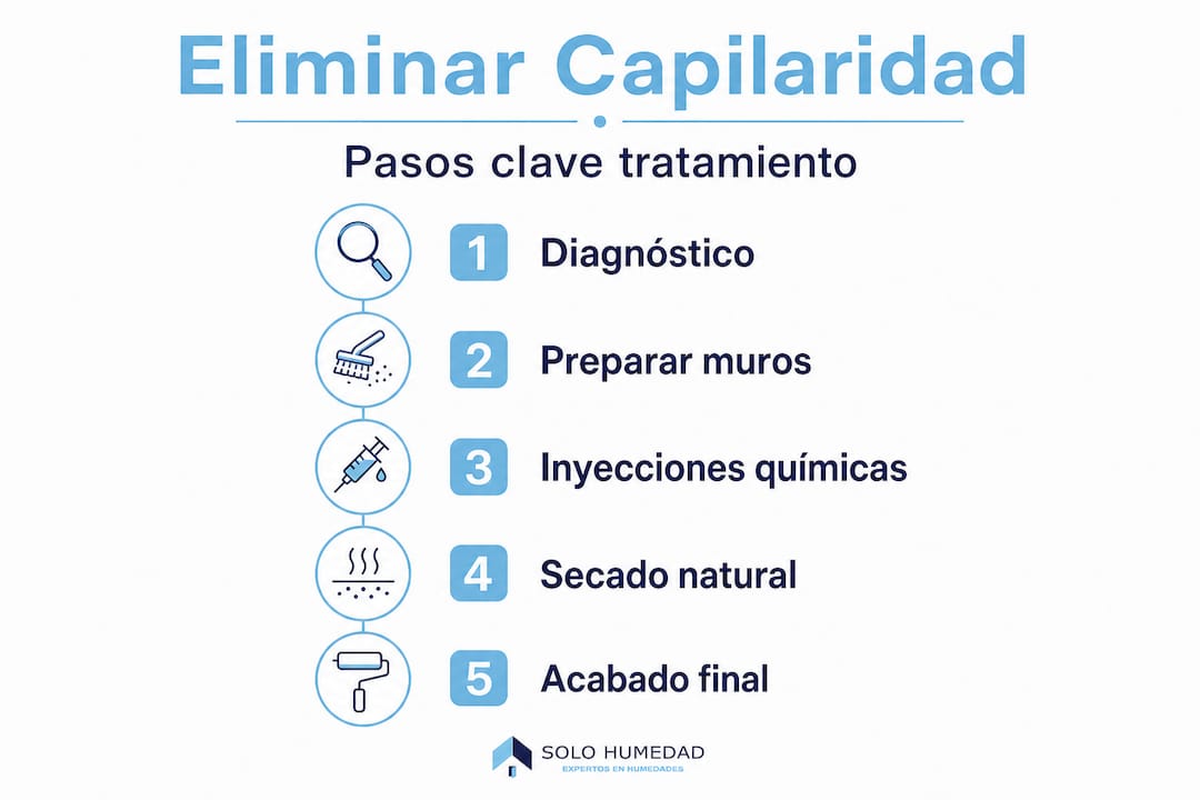 Infografía: guía práctica para eliminar la humedad por capilaridad paso a paso