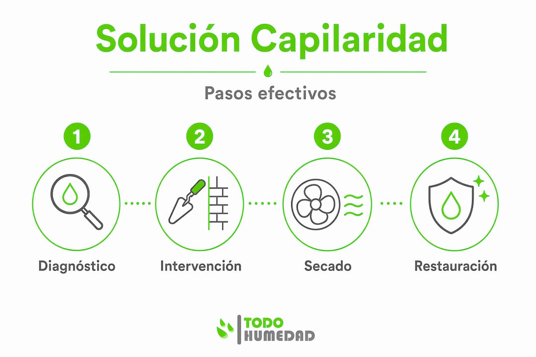 Infografía: guía práctica para eliminar la humedad por capilaridad paso a paso