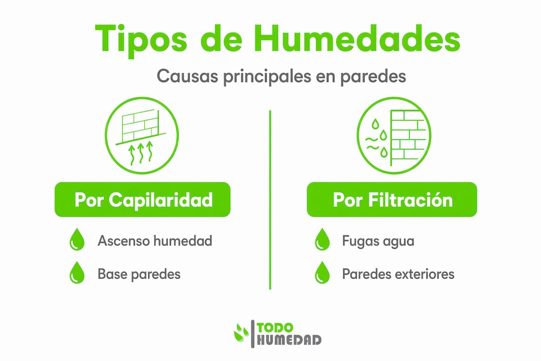Infografía sobre los diferentes tipos de humedades y sus principales causas