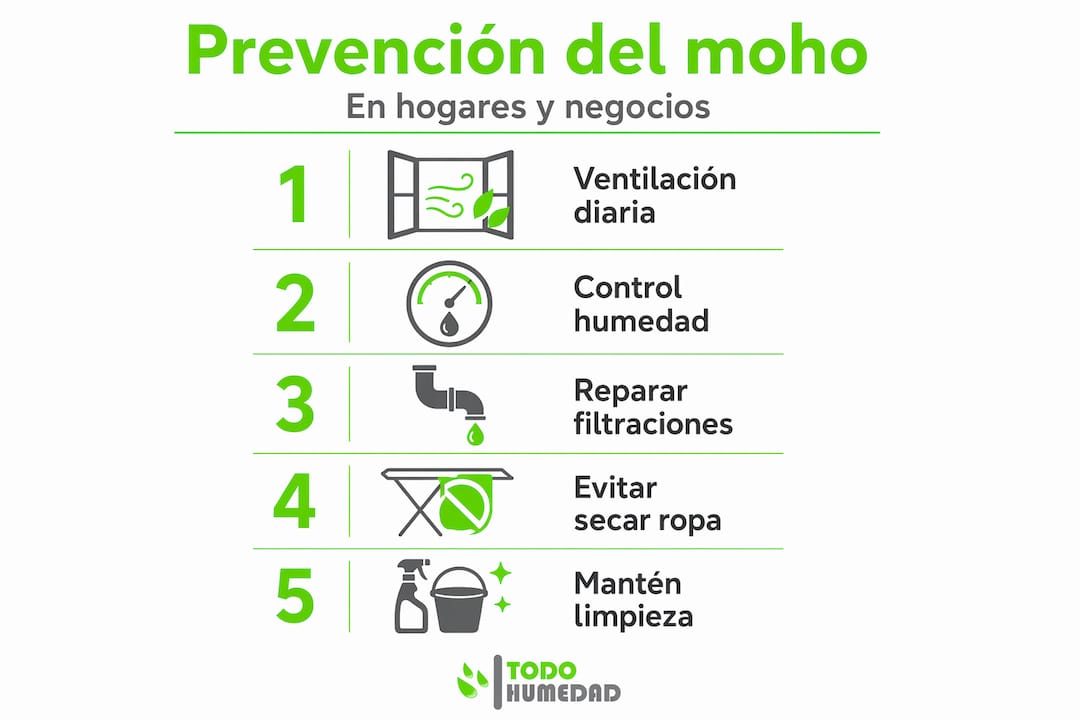 Infografía: Cómo prevenir la aparición de moho en casa, paso a paso