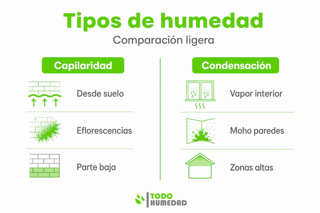 Infografía: diferencias entre los tipos de humedad en las paredes