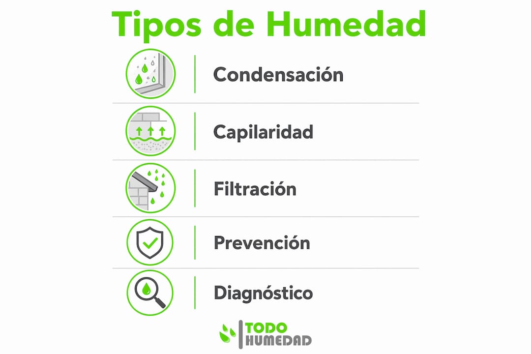 Guía visual para identificar los diferentes tipos de humedad en las paredes y cómo diagnosticarlos