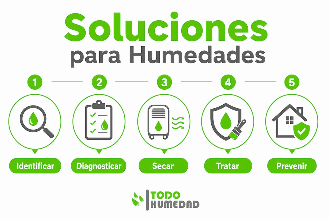 Infografía con una guía práctica para eliminar las humedades de las paredes paso a paso