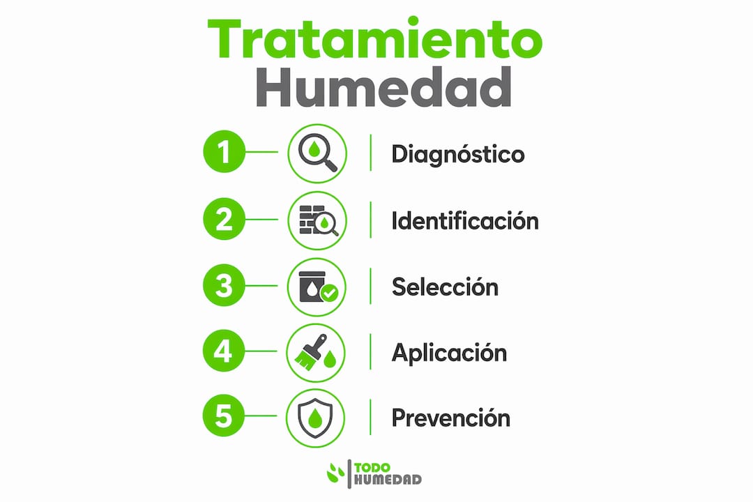 Guía visual con los pasos clave para eliminar la humedad de las paredes