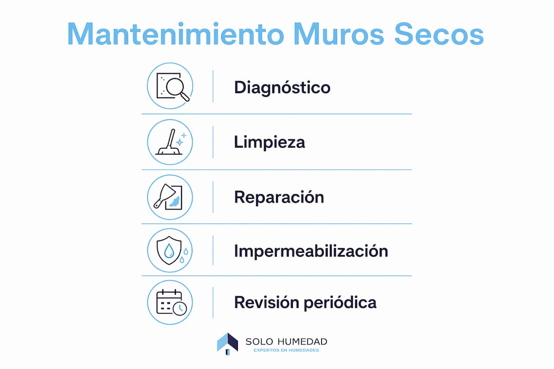 Infografía: guía práctica para el mantenimiento de muros secos paso a paso